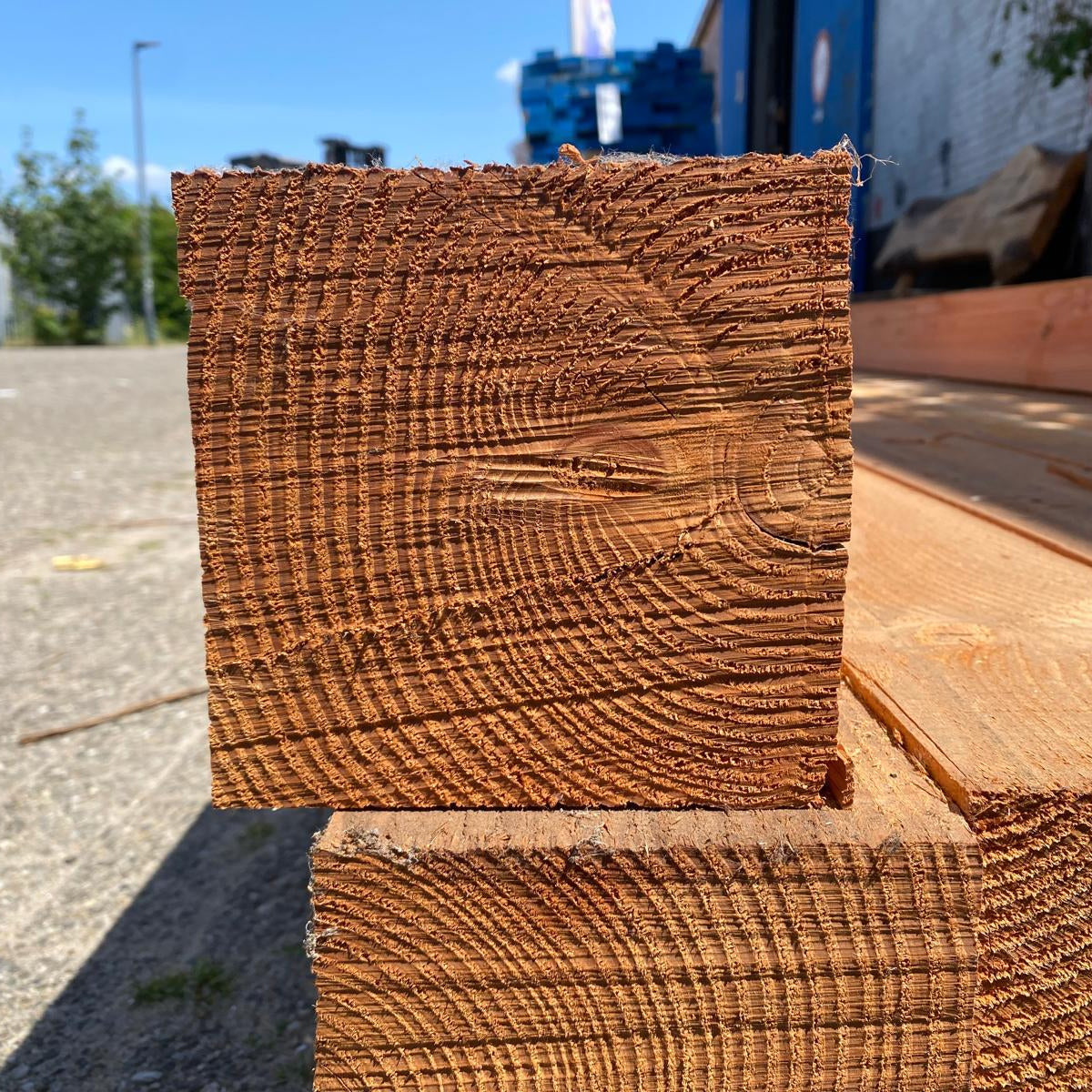 Douglas 145x145 (balken)