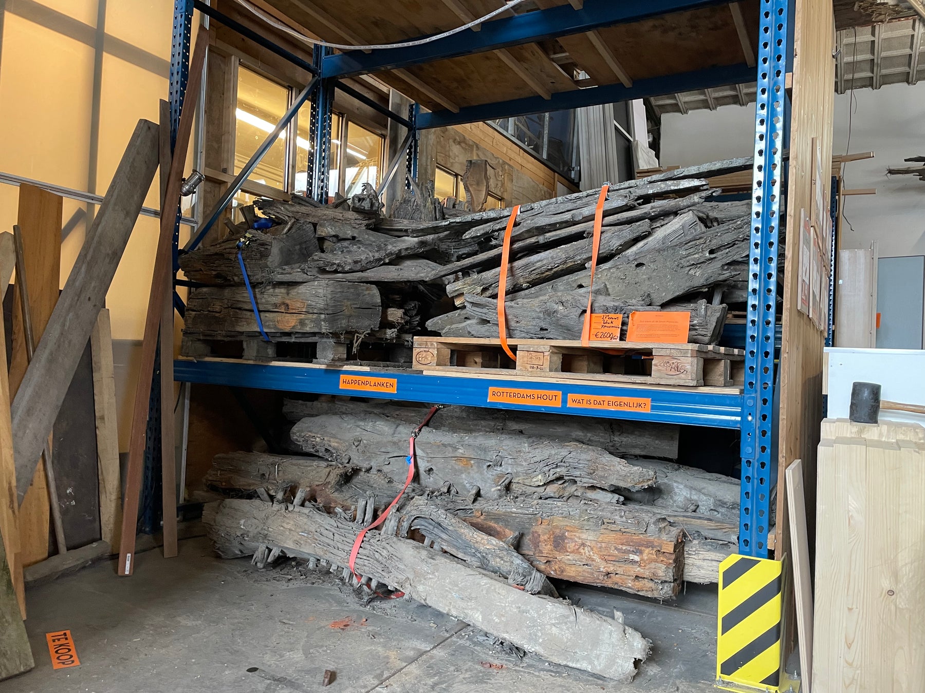 Schipswrak Hout (Subfossiel Eiken)