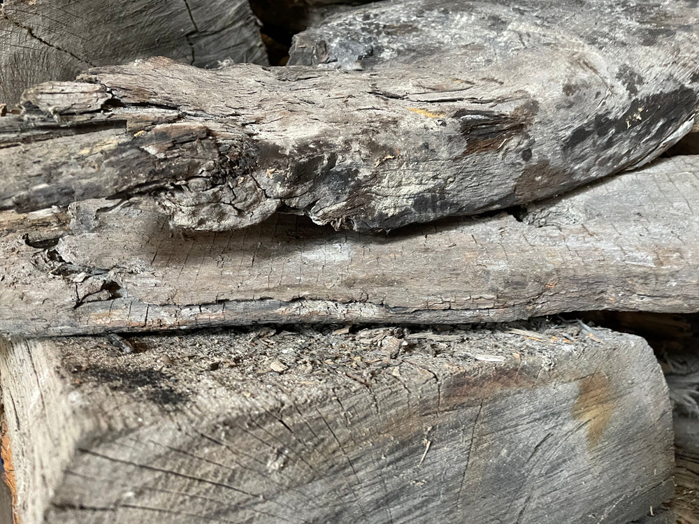 Schipswrak Hout (Subfossiel Eiken)