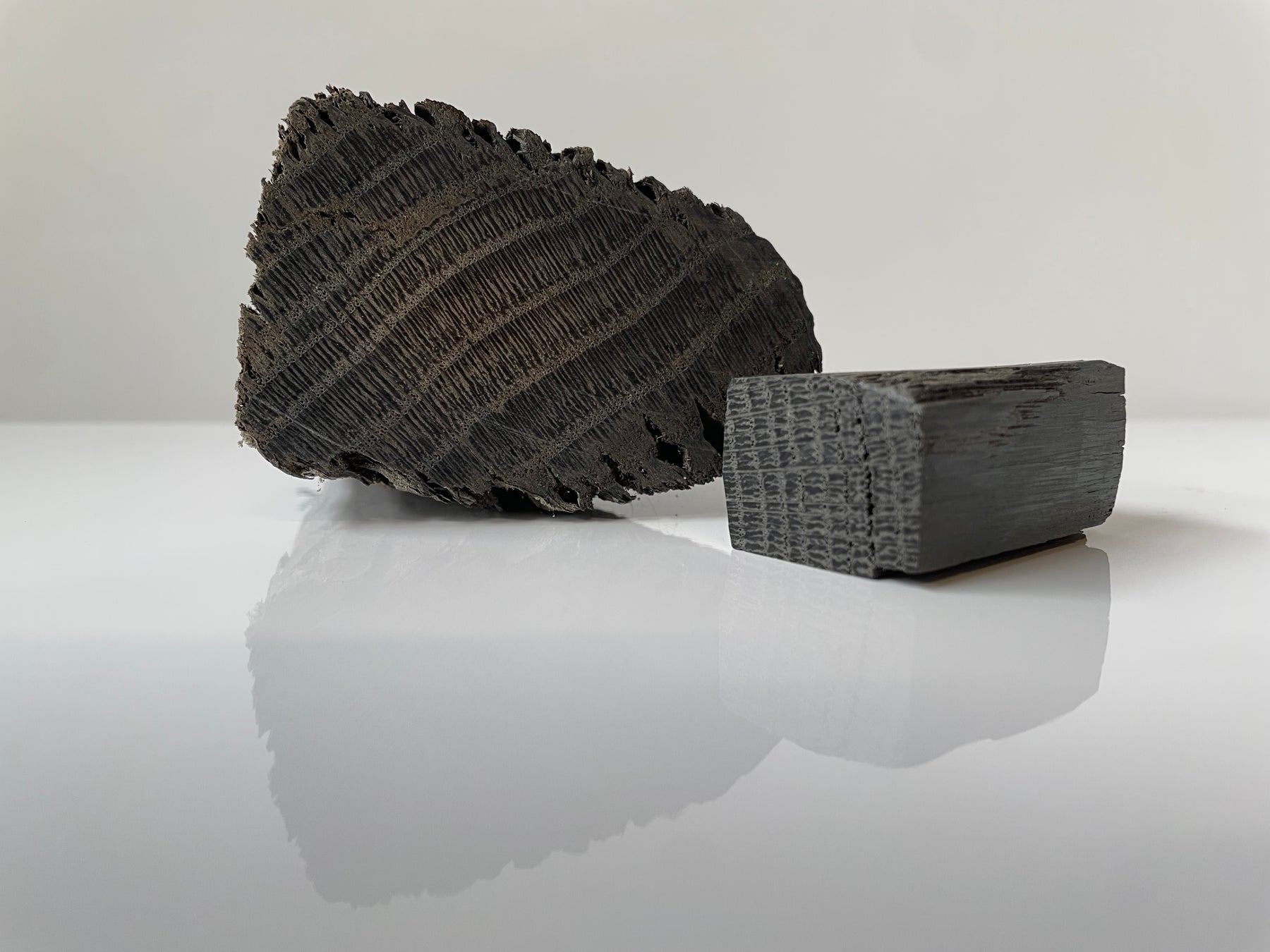 Schipswrak Hout (Subfossiel Eiken)