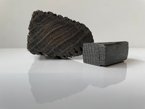 Schipswrak Hout (Subfossiel Eiken)