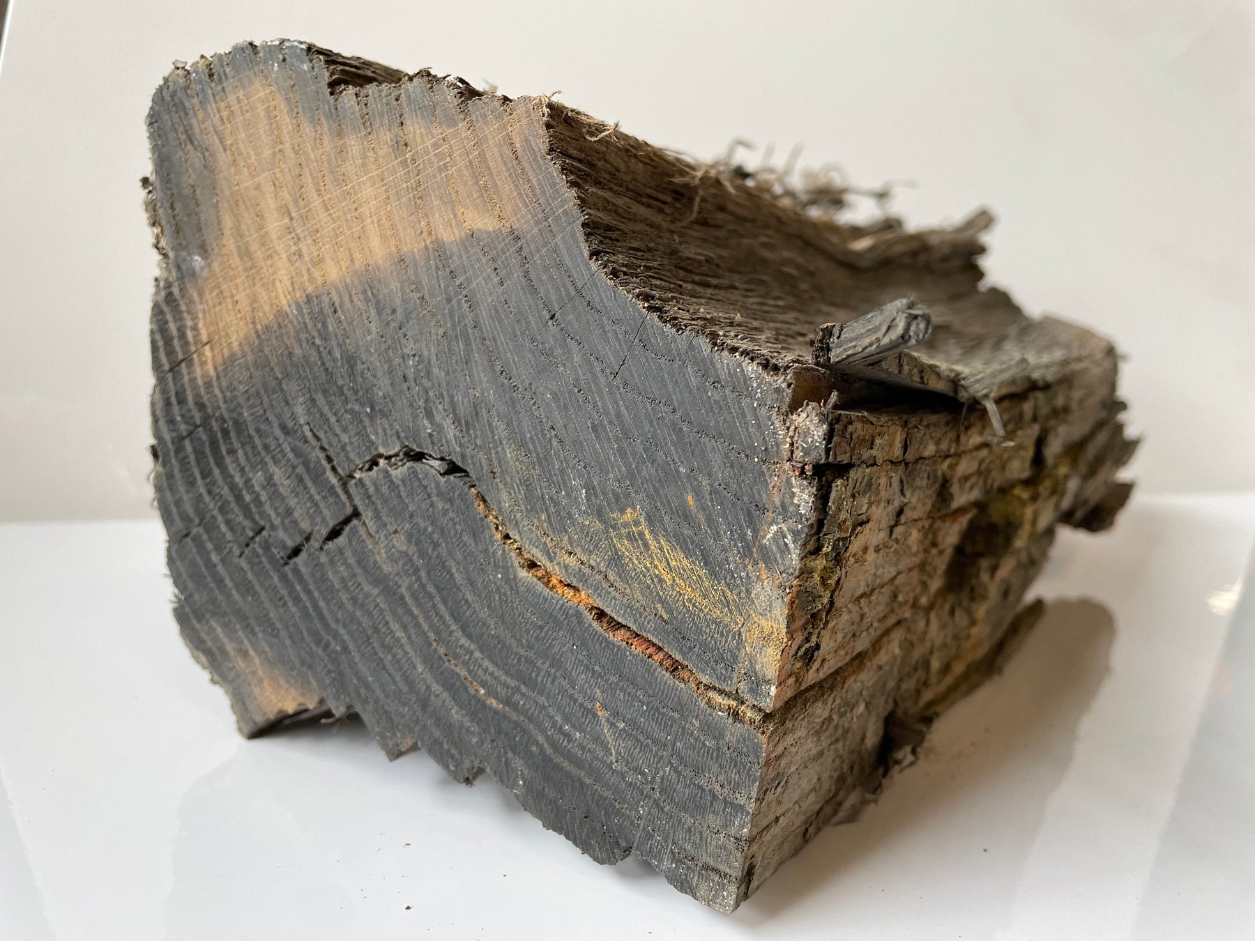 Schipswrak Hout (Subfossiel Eiken)