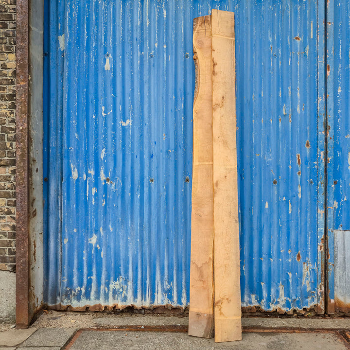 Schaaldelen Grove den