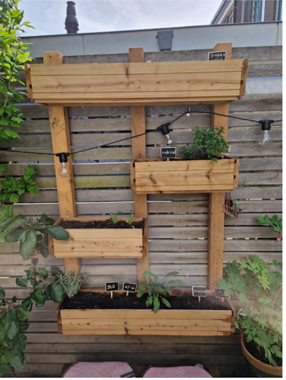 Een kruidentuin voor aan de muur, beplant met kruiden. Gemaakt tijdens de workshop Groene vingers.